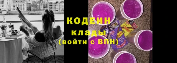 крисы Сатка